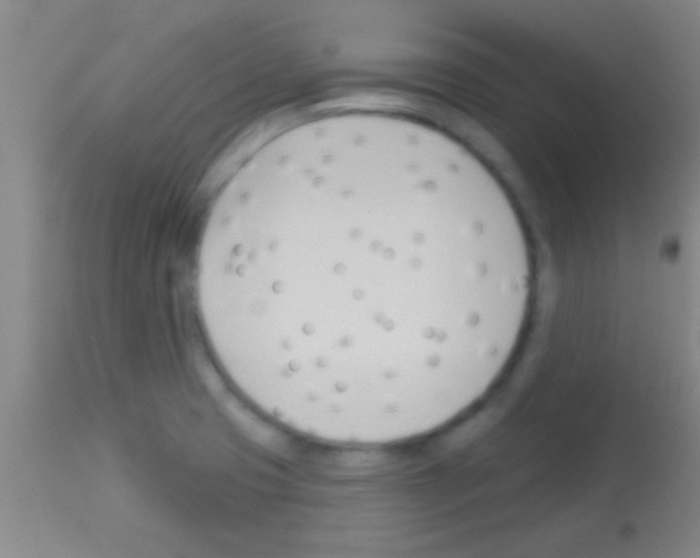 X0000113131425200910161121