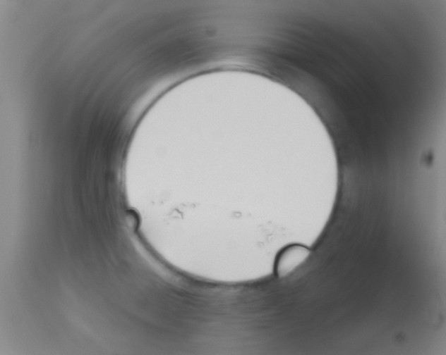 X0000113131428200910161121