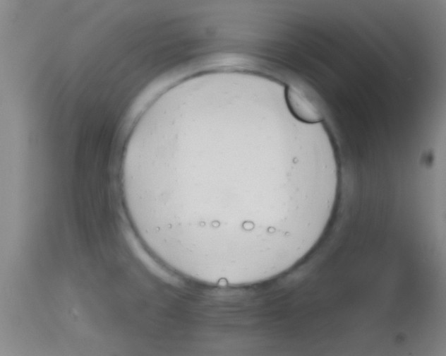 X0000113131429200910161121