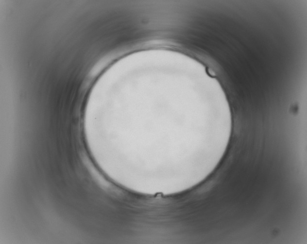 X0000113131430200910161121