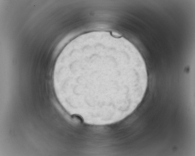 X0000113131432200910161121