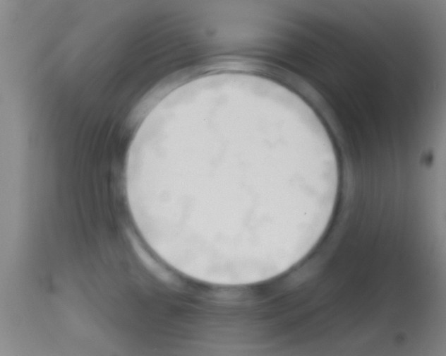 X0000113131433200910161121