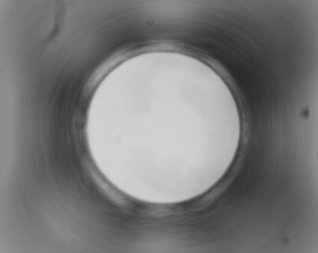 X0000113131438200910161121