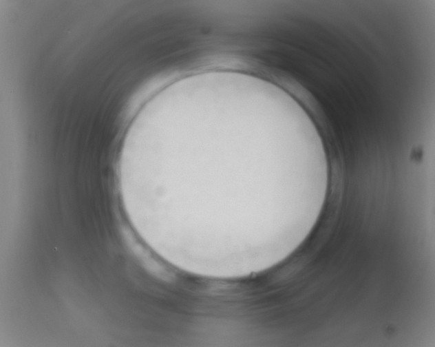 X0000113131439200910161121