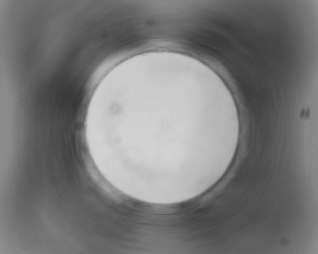 X0000113131440200910161121