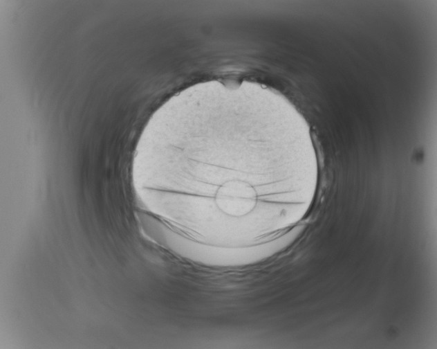 X0000113131441200910161120