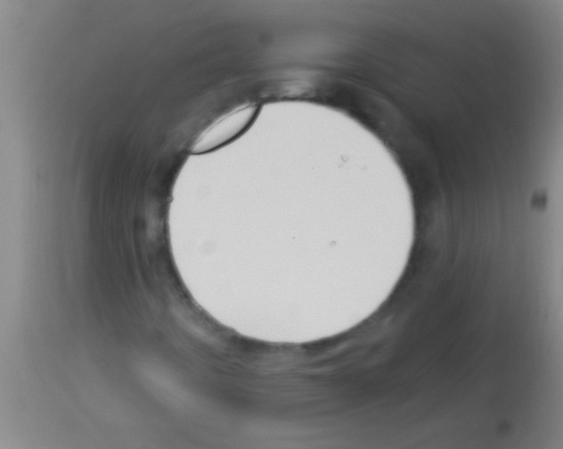 X0000113131442200910161120