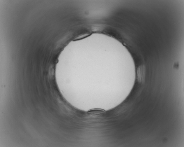 X0000113131443200910161120