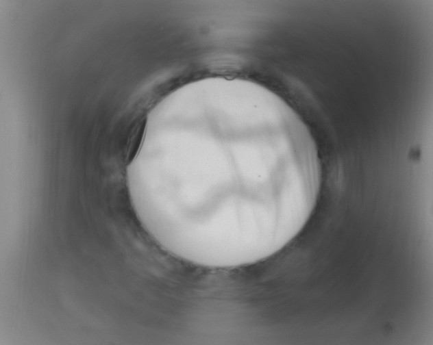 X0000113131445200910161120