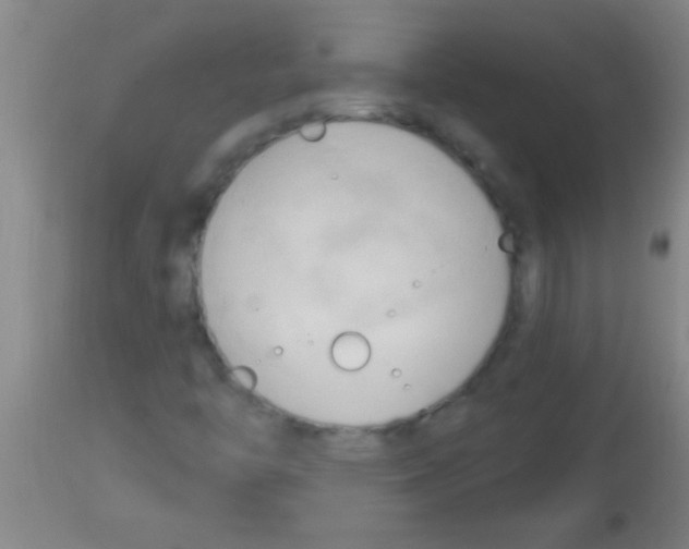 X0000113131446200910161120