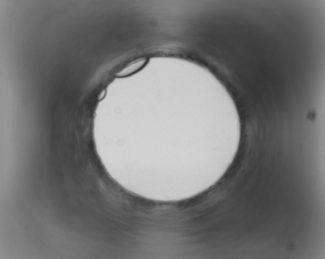 X0000113131447200910161120