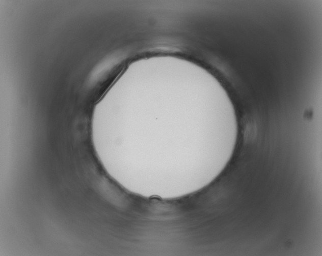 X0000113131448200910161120