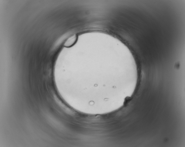 X0000113131450200910161120