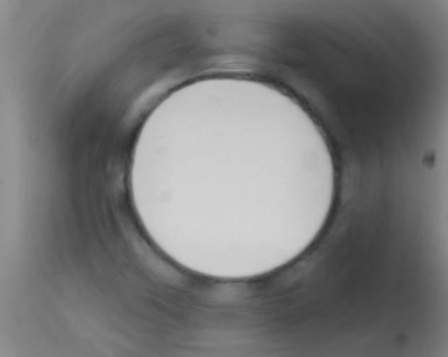 X0000113131451200910161120