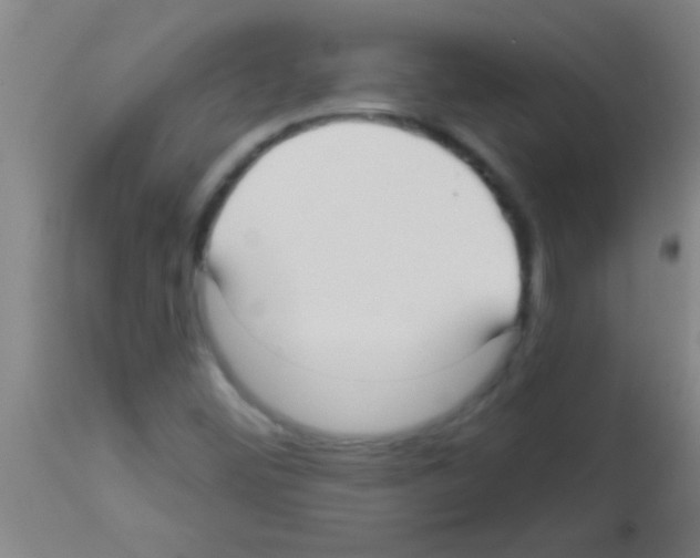 X0000113131452200910161120