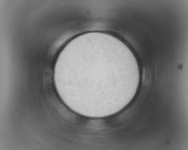 X0000113131453200910161120