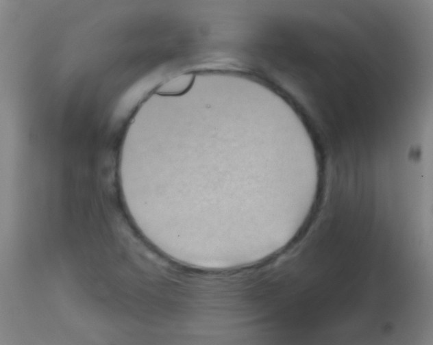 X0000113131455200910161120