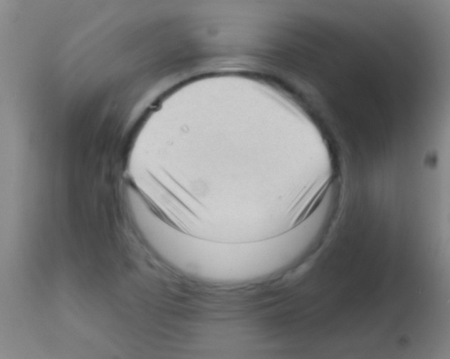 X0000113131457200910161120