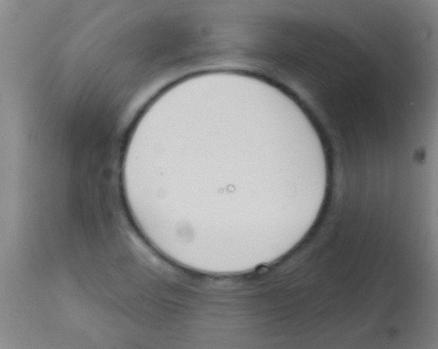 X0000113131460200910161120