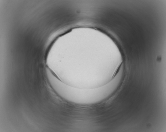 X0000113131461200910161120