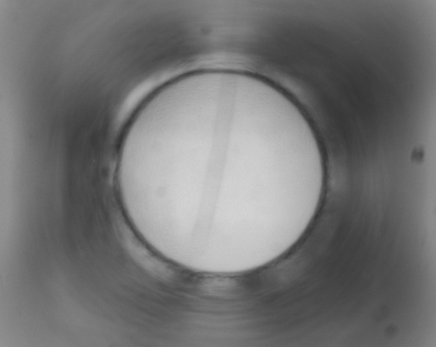 X0000113131462200910161120