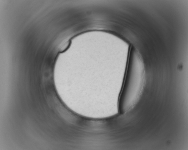 X0000113131465200910161120