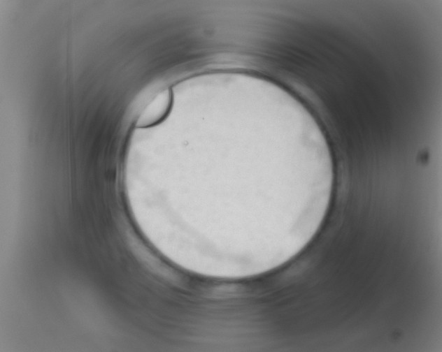 X0000113131467200910161120