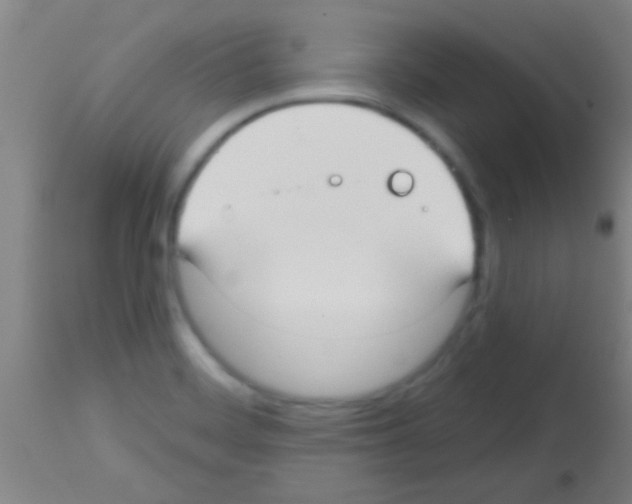 X0000113131468200910161120