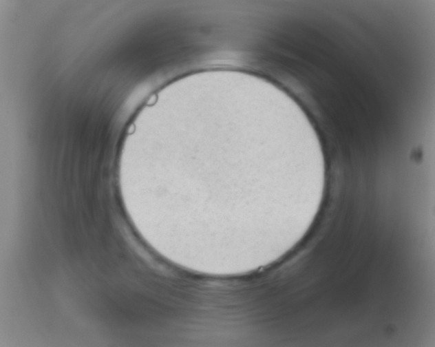 X0000113131469200910161120