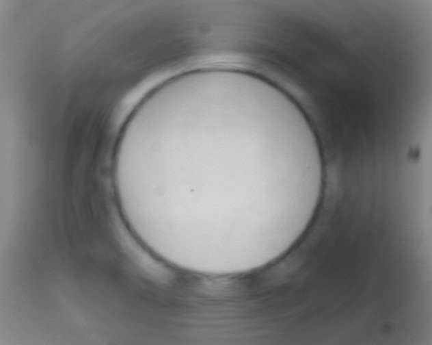 X0000113131470200910161120