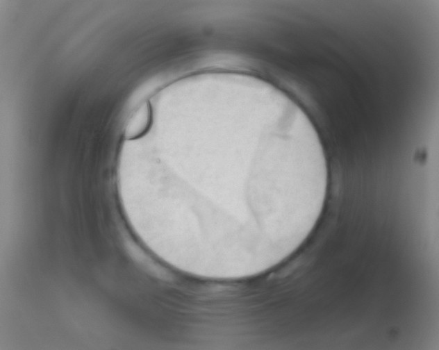 X0000113131471200910161120