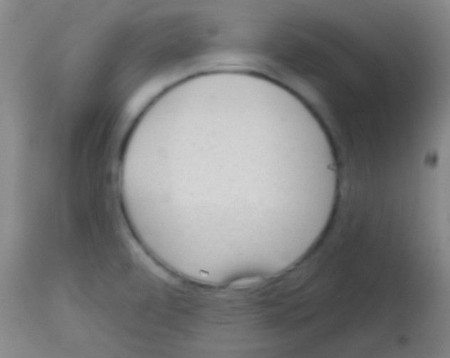 X0000113131472200910161120