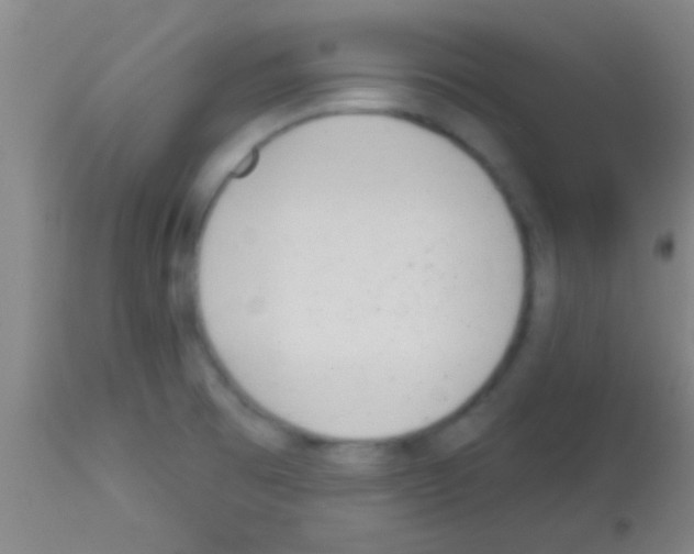 X0000113131473200910161120