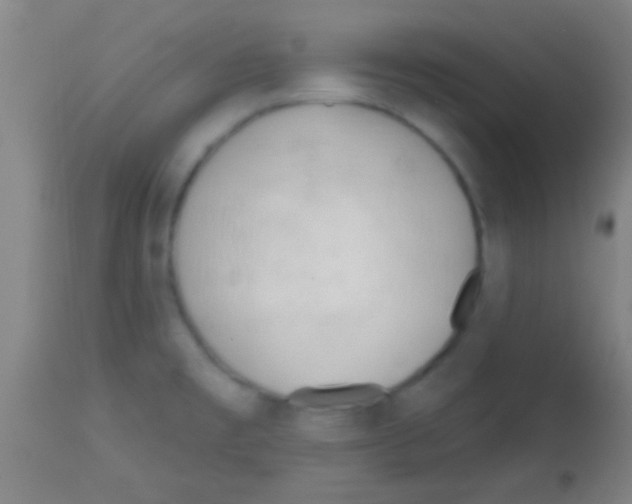 X0000113131477200910161119