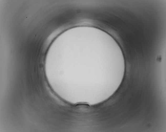 X0000113131480200910161119