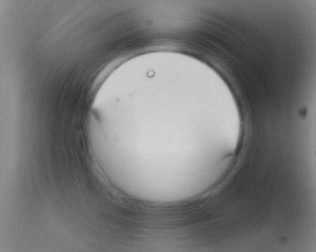 X0000113131481200910161119