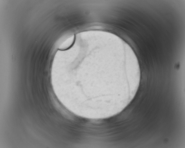 X0000113131483200910161119