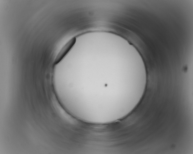 X0000113131484200910161119