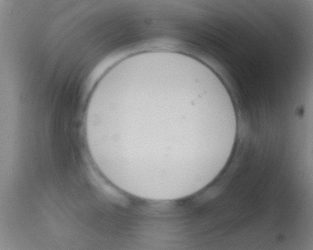 X0000113131486200910161119