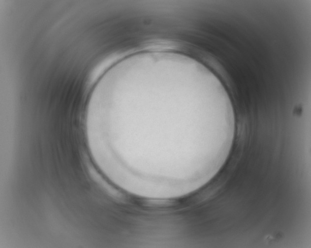 X0000113131487200910161119