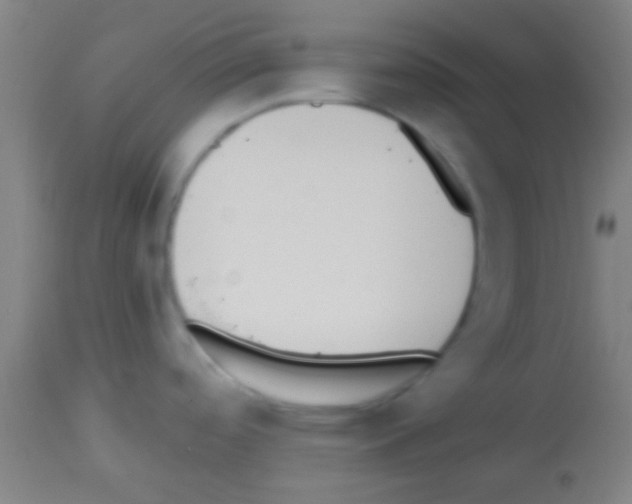 X0000113131488200910161119