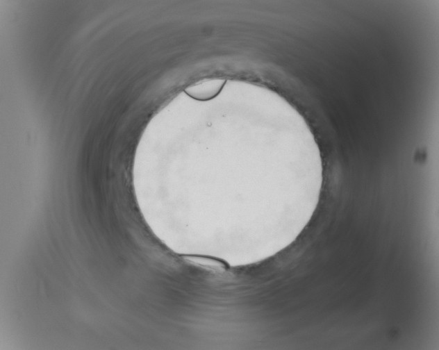 X0000113131489200910161119