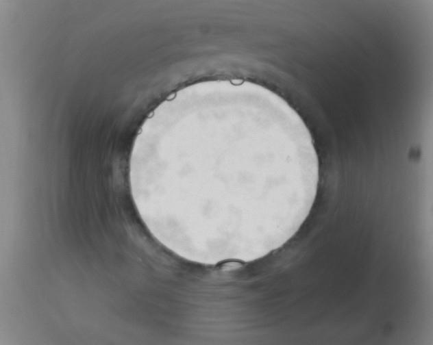 X0000113131490200910161119