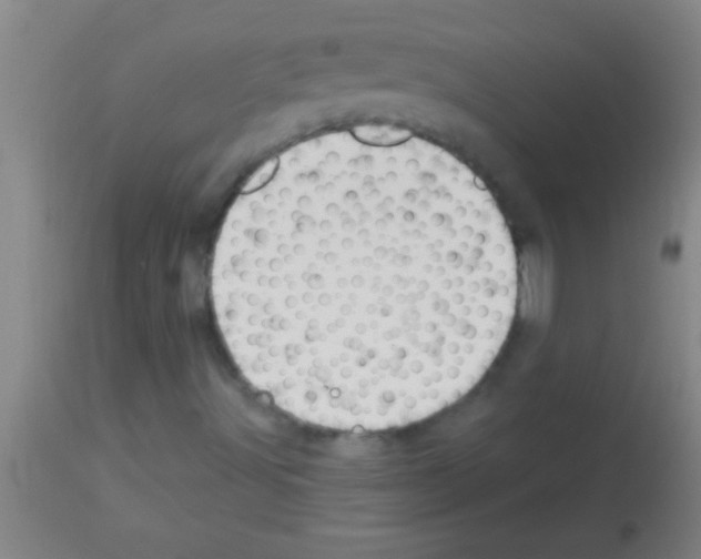 X0000113131491200910161119