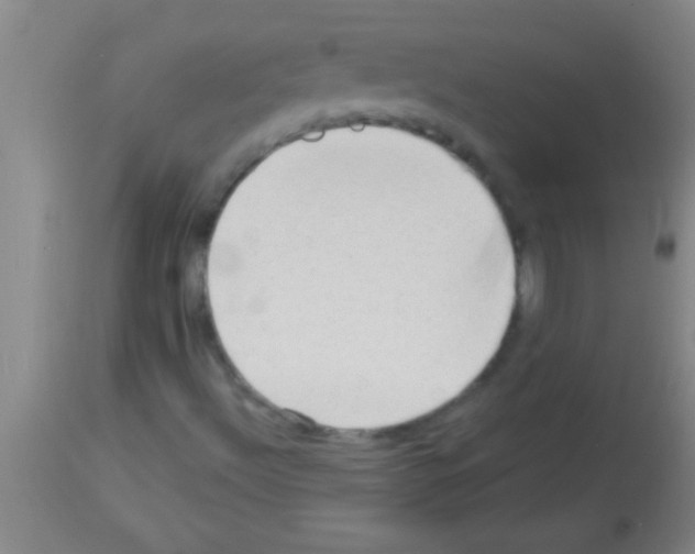 X0000113131492200910161119