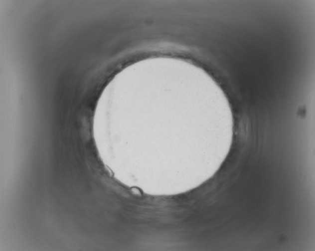 X0000113131493200910161119