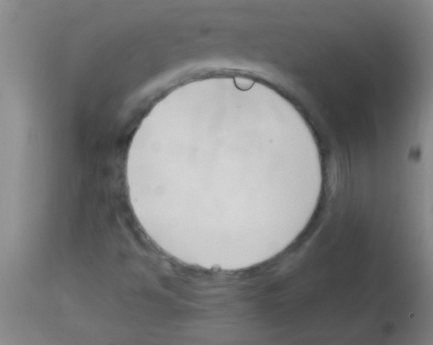 X0000113131494200910161119