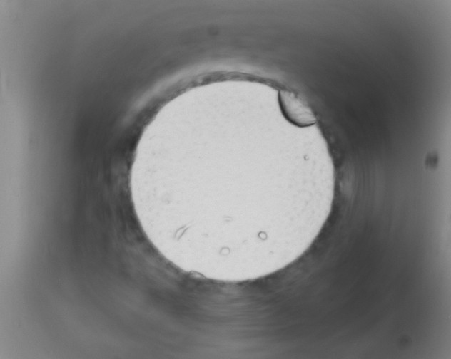 X0000113131495200910161119