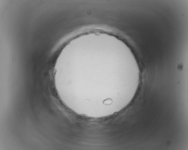 X0000113131496200910161119