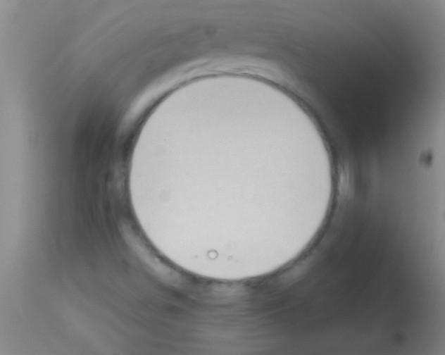 X0000113131498200910161119